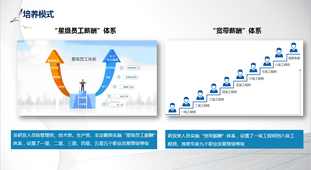 东升国际(中国区) - 官方网站
